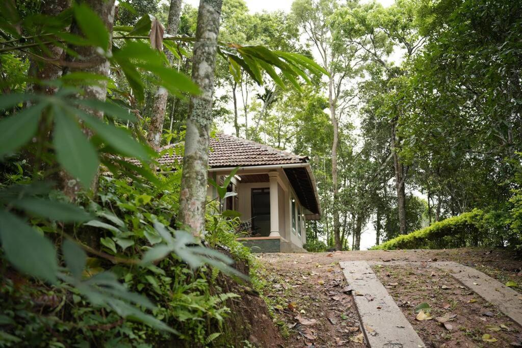 Coffee Camp Home Stay With Tree House Kattappana Bagian luar foto