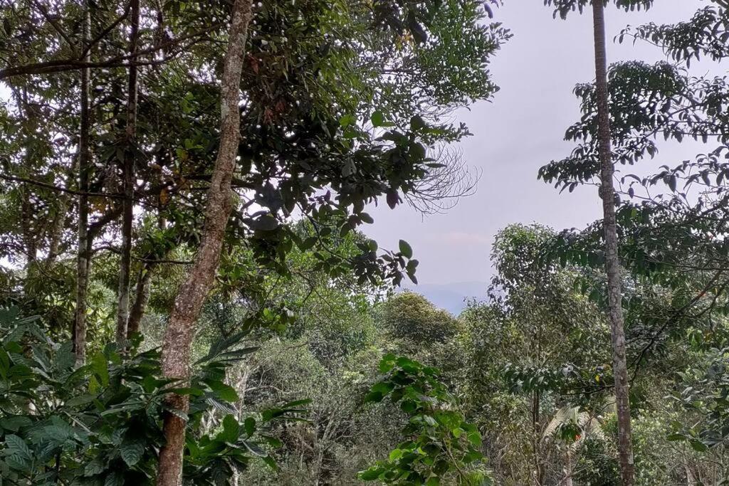 Coffee Camp Home Stay With Tree House Kattappana Bagian luar foto