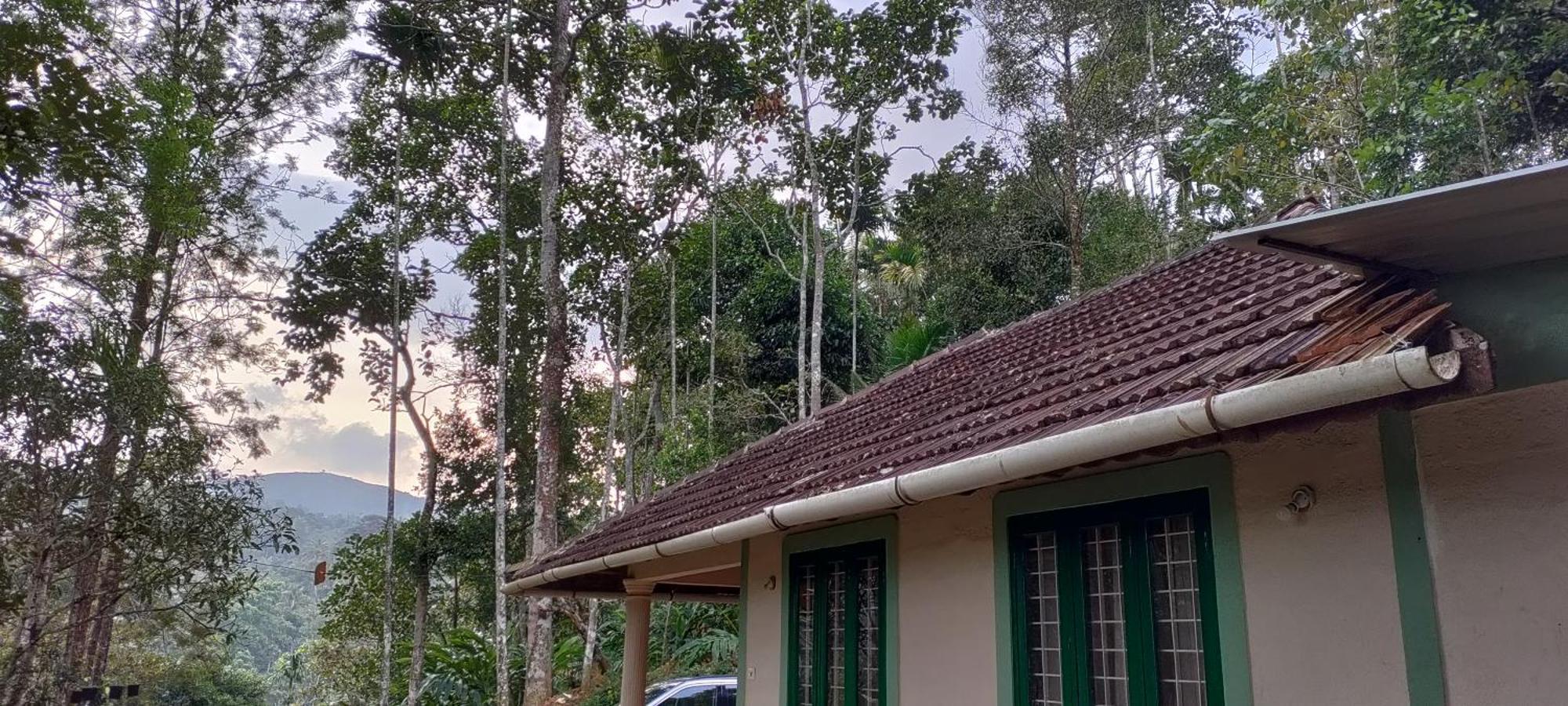 Coffee Camp Home Stay With Tree House Kattappana Bagian luar foto