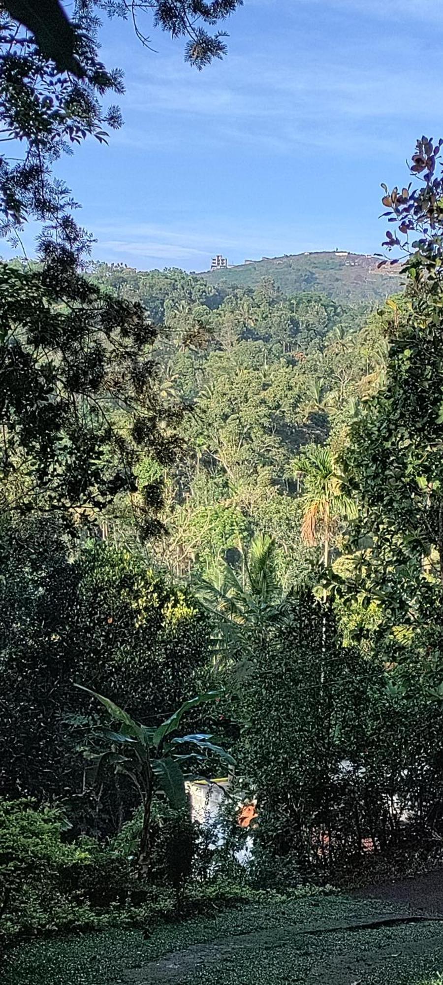 Coffee Camp Home Stay With Tree House Kattappana Bagian luar foto