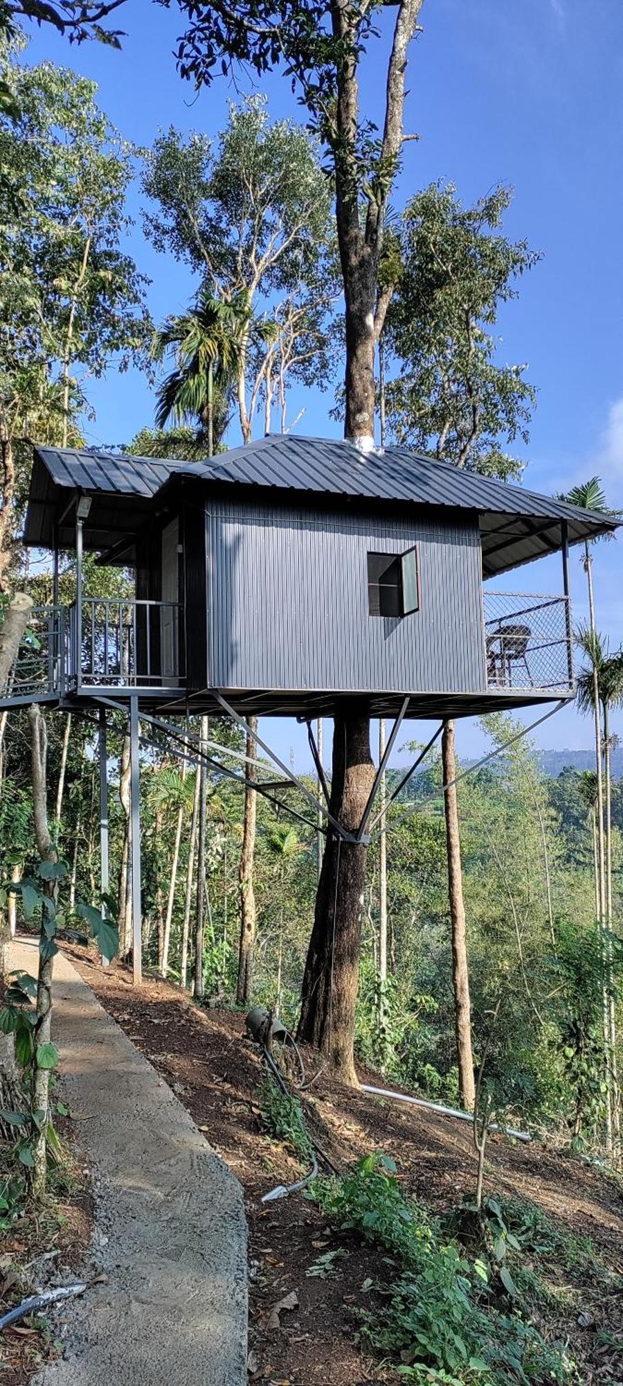 Coffee Camp Home Stay With Tree House Kattappana Bagian luar foto