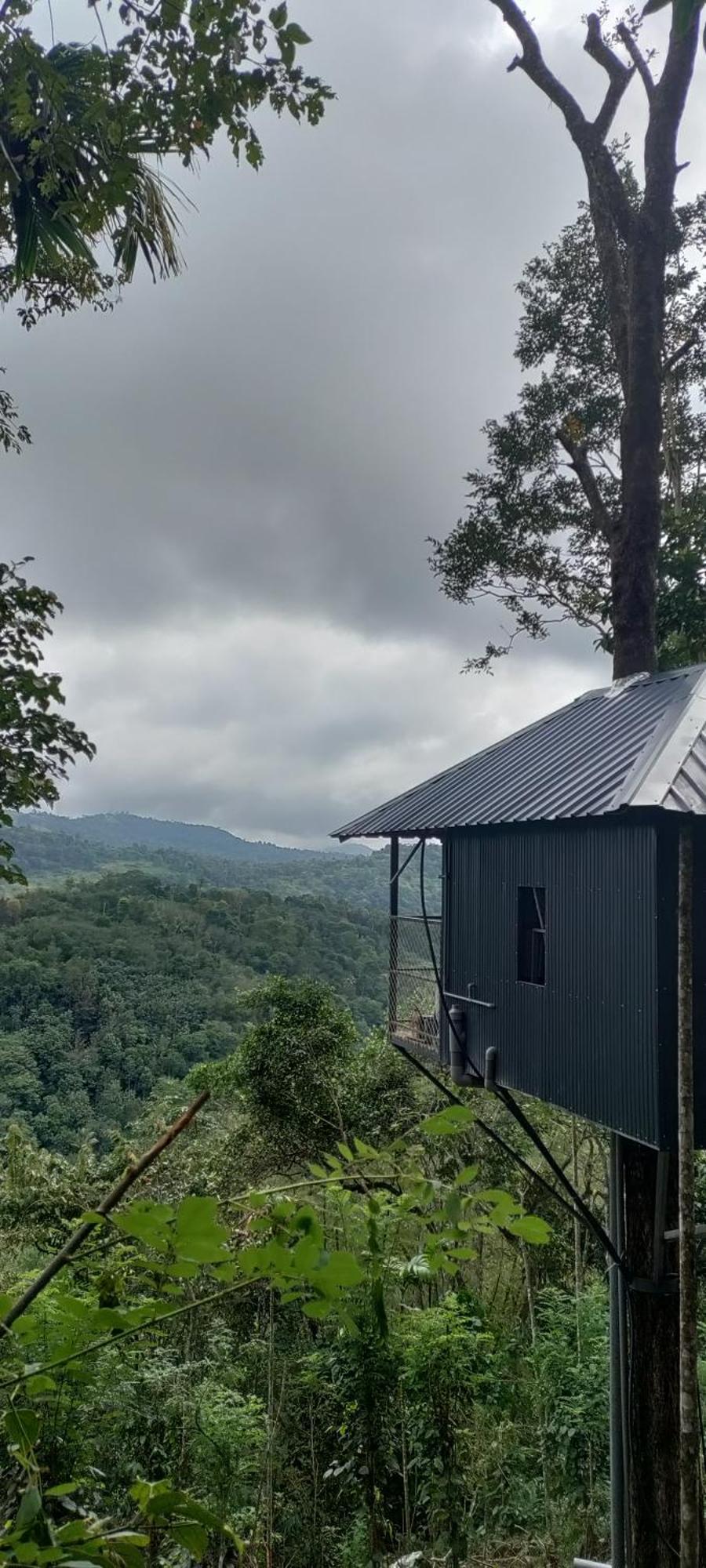 Coffee Camp Home Stay With Tree House Kattappana Bagian luar foto