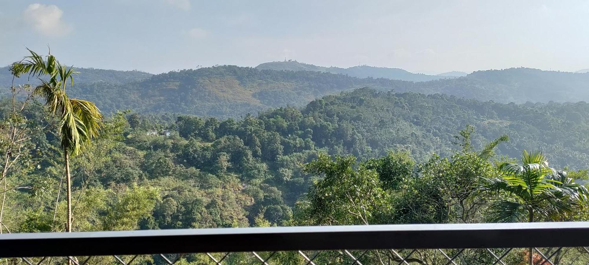 Coffee Camp Home Stay With Tree House Kattappana Bagian luar foto